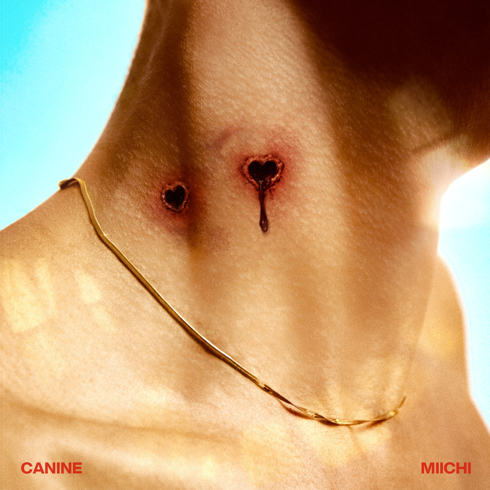 Image Cover